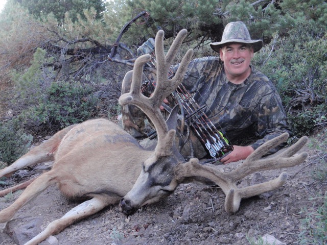 Randy's 2015 Nevada Mulie