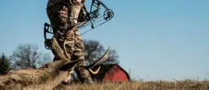 Read more about the article New Arrows and Accessories for 2025: Must-Have Gear
