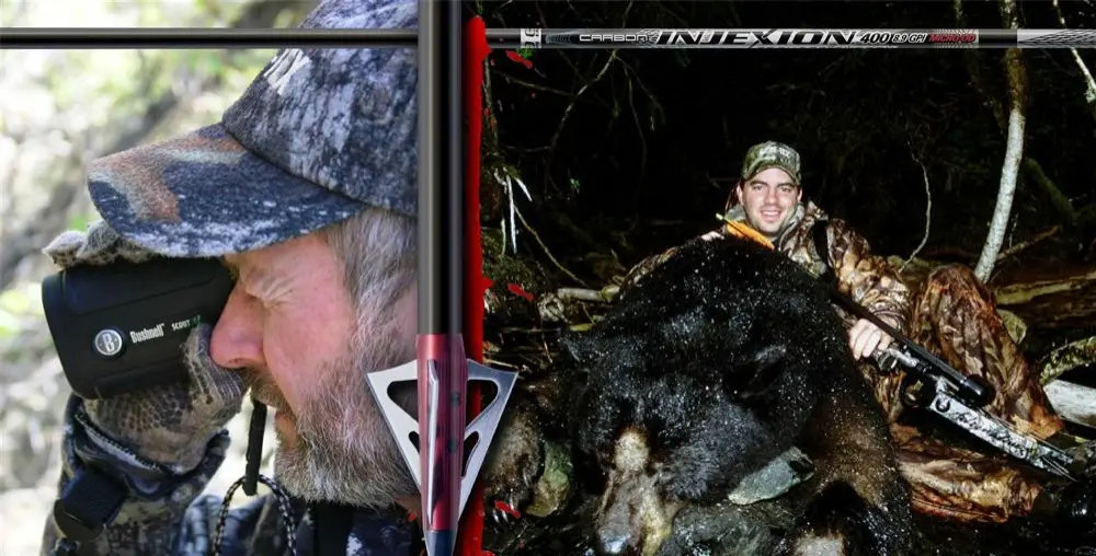 You are currently viewing SHOT PLACEMENT ON BEARS