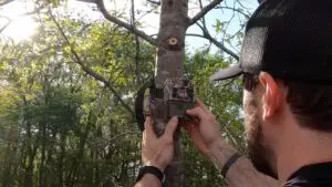 Read more about the article How To Place Trail Cameras on Food Plots