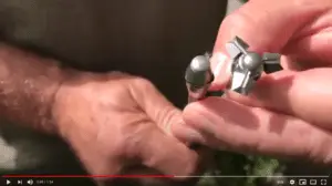 Read more about the article Bowhunting Varmint Points – Bowhunter Basecamp