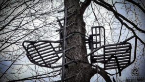 Read more about the article Tree Stand Basics