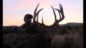 Read more about the article BTF – Record Buck Taken by Johnny Brown with Easton FMJ Arrows – YouTube