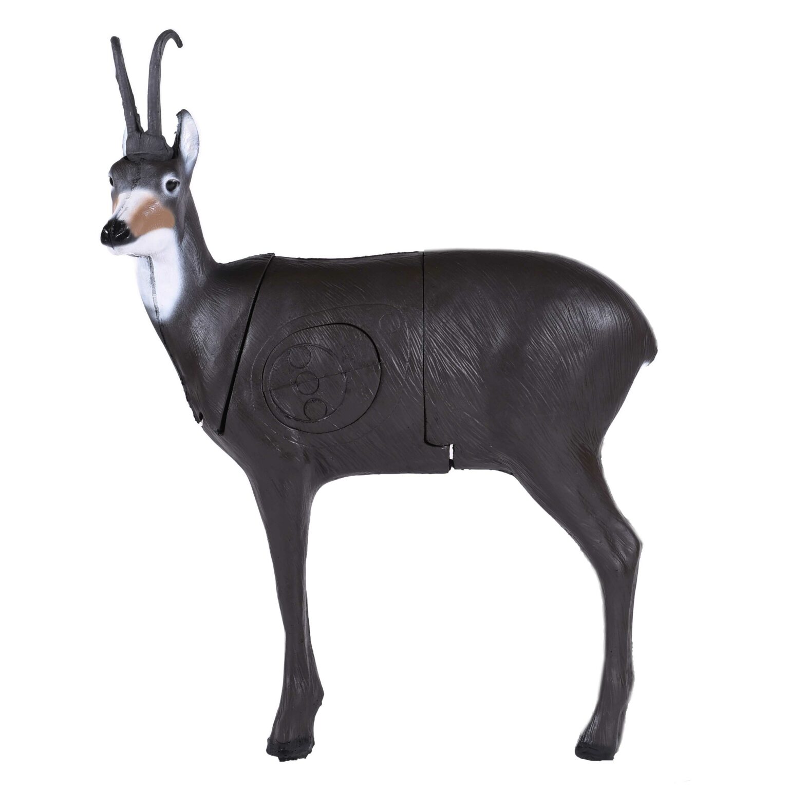 ASA Targets Easton Archery