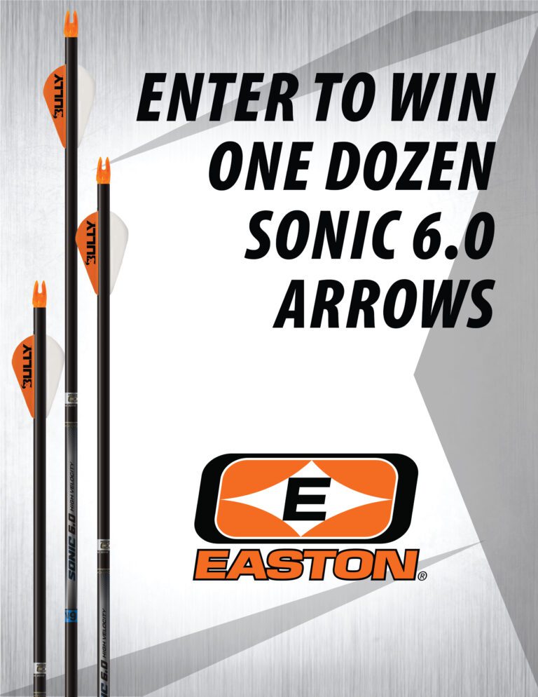 Sonic Giveaway Graphic 2024