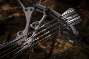 Read more about the article The Easton 5.0 Arrows: The Ultimate Upgrade for 2025 Archery
